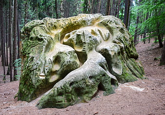Devil's Rock sandstone formation in Czech Republic forest