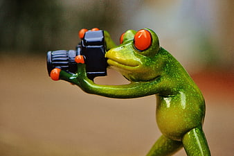 Green frog figurine holding a black camera