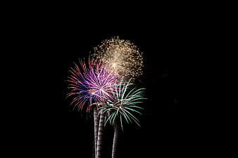 Colorful fireworks exploding against a black night sky