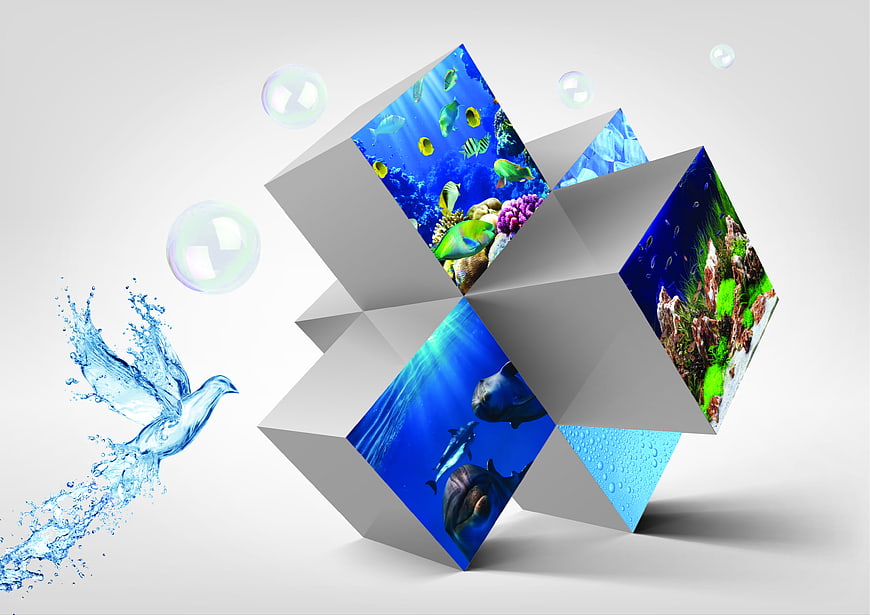Abstract 3D Cube with Underwater Scenes and Water Bird