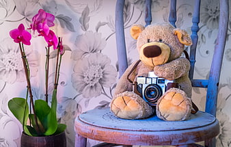 Vintage Teddy Bear with Retro Camera on Blue Chair