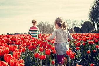 Two Children Walking Through Red Tulip Field