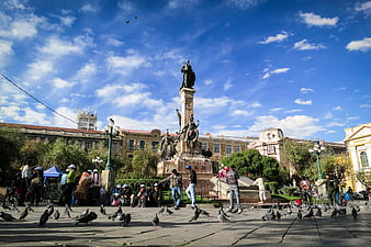Plaza Murillo La Paz Bolivia Monument Pigeons