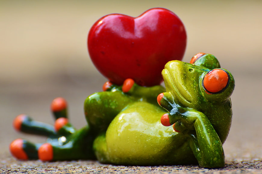 Cute Green Frog Figurine Holding Red Heart