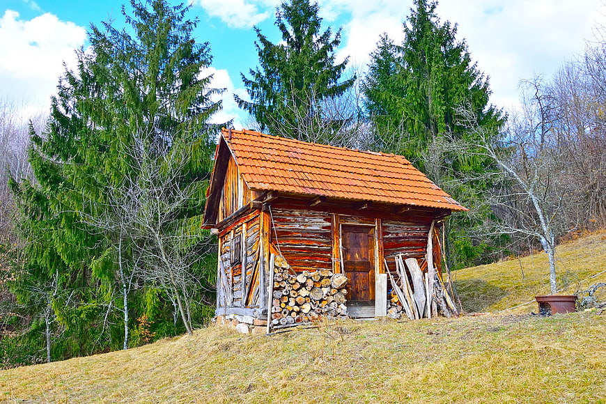 Rustic wooden cabin with stacked firewood in forest
