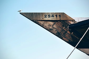 Seagull perched on weathered wooden boat prow against blue sky