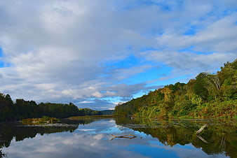 Serene Lake Reflection with Forest and Cloudy Sky