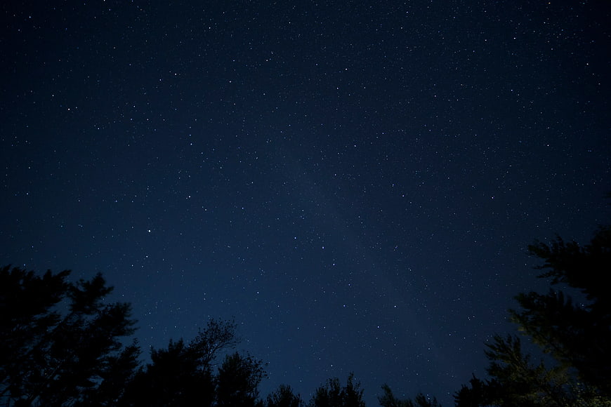 Starry Night Sky Over Silhouetted Pine Trees