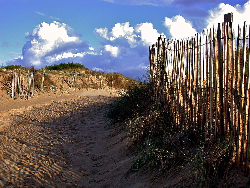 Sandy path through dunes with wooden fence and blue sky
