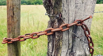 Rusty Chain and Barbed Wire on Weathered Wooden Fence Post