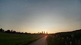 Sunset over rural road with sunflowers and fields