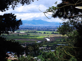Panoramic valley view framed by pine trees with distant city and mountains