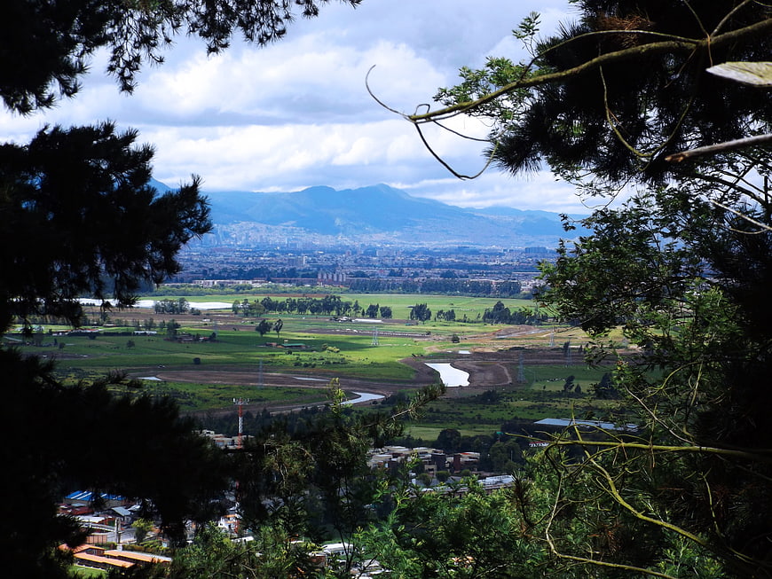 Panoramic valley view framed by pine trees with distant city and mountains