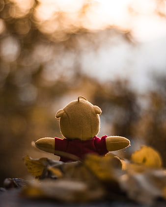 Winnie the Pooh Plush Bear Sitting in Autumn Leaves at Sunset