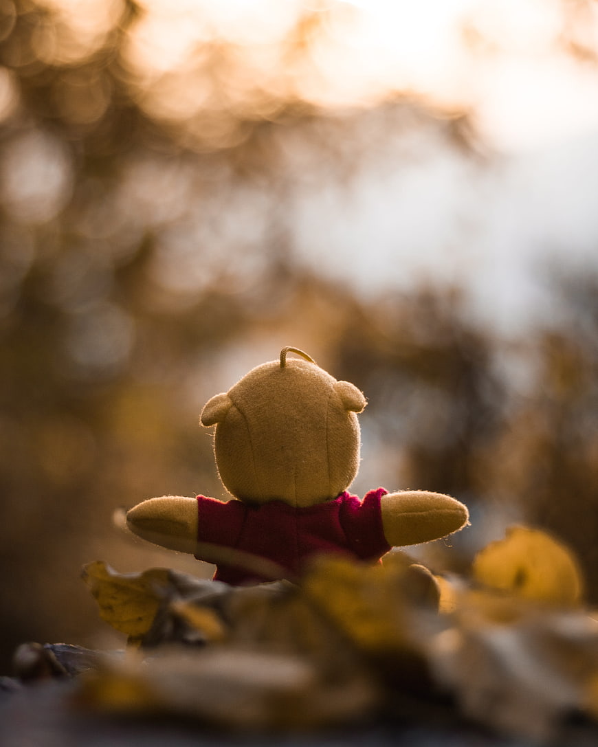 Winnie the Pooh Plush Bear Sitting in Autumn Leaves at Sunset