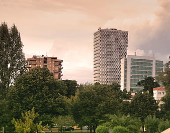 Modern city skyline with tall office buildings and green trees