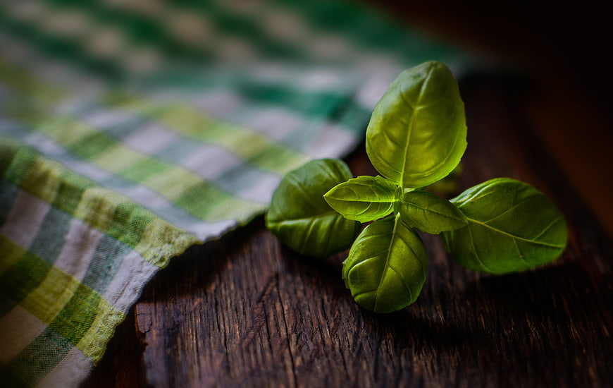 Fresh Basil Leaves on Wooden Table with Checkered Cloth