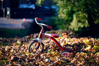 Red Retro Tricycle in Autumn Leaves