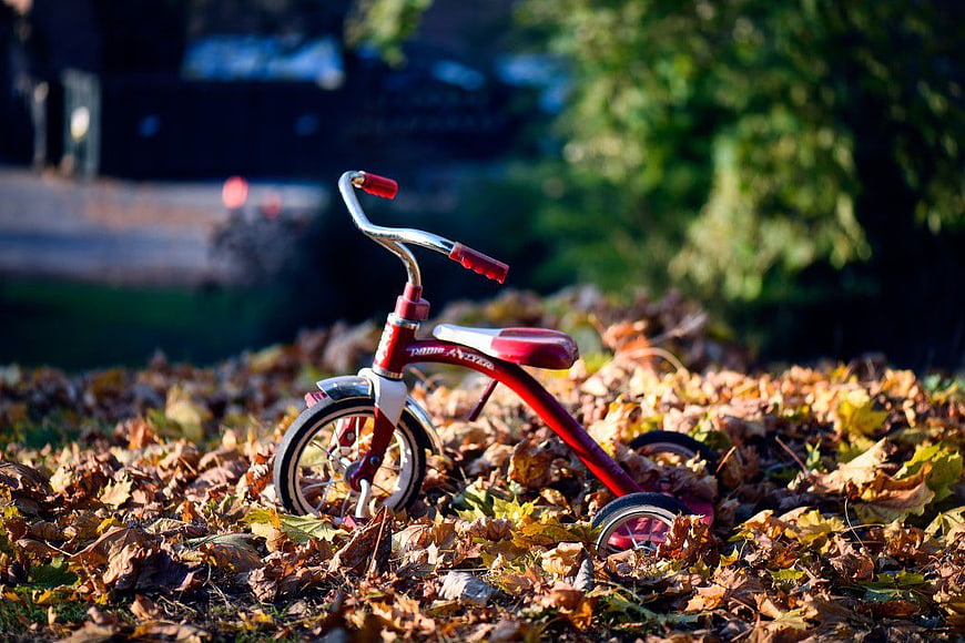 Red Retro Tricycle in Autumn Leaves