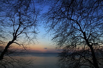 Silhouetted Trees Framing a Serene Winter Sunset Over Frozen Water
