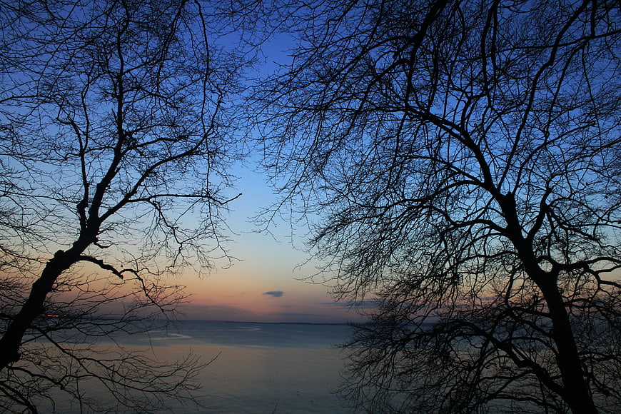 Silhouetted Trees Framing a Serene Winter Sunset Over Frozen Water