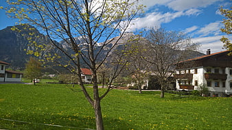 Alpine village with green meadow and mountains