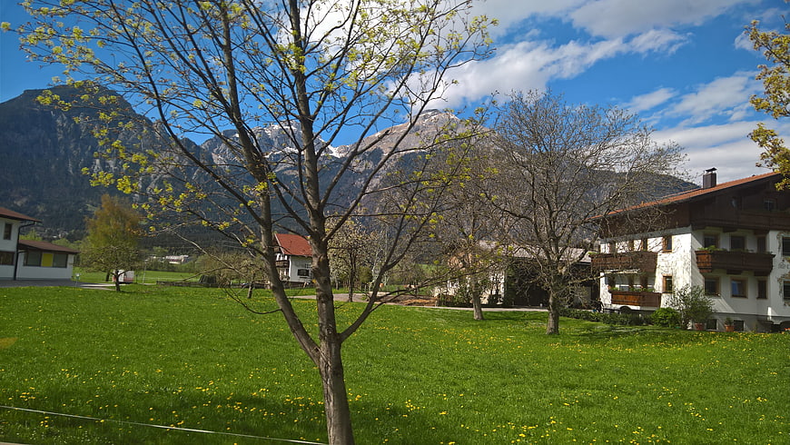 Alpine village with green meadow and mountains