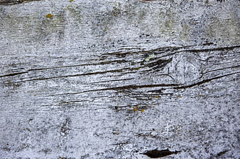 Weathered Gray Wood Texture Background