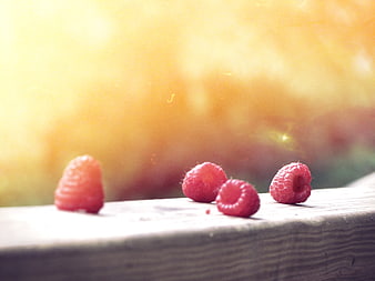 Fresh Raspberries on Wooden Surface with Golden Sunlight