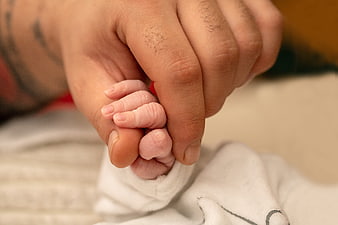 Adult hand gently holding tiny newborn baby hand close up