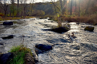 Flowing River Stream Through Autumn Forest Landscape