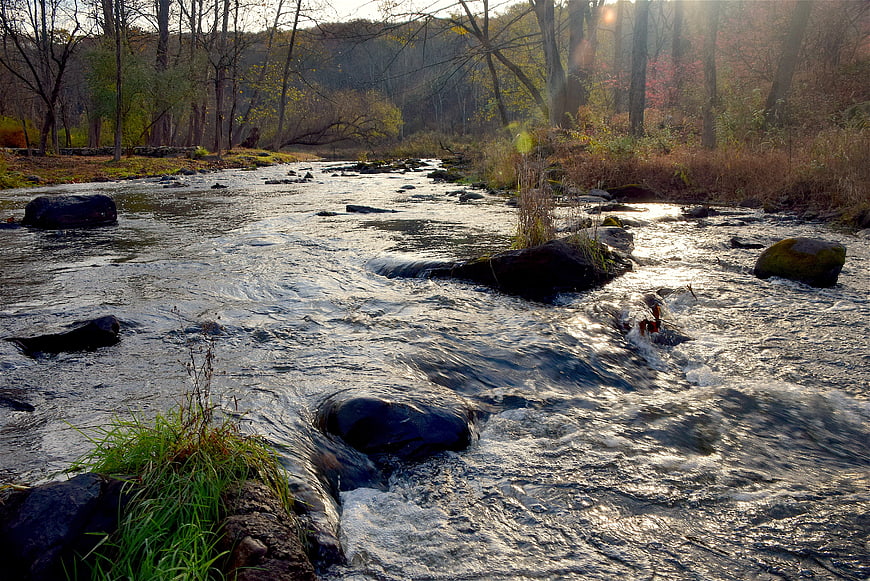 Flowing River Stream Through Autumn Forest Landscape