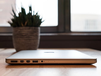 Side View of Silver Laptop on Wooden Desk with Blurred Plant