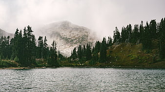 Misty Mountain Lake with Pine Forest and Foggy Peaks