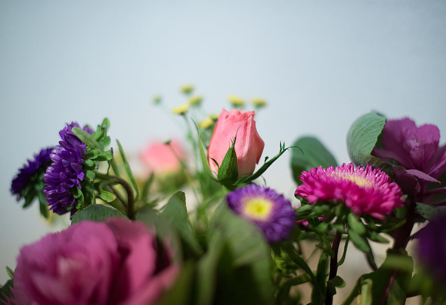 Colorful bouquet of pink and purple flowers with green leaves