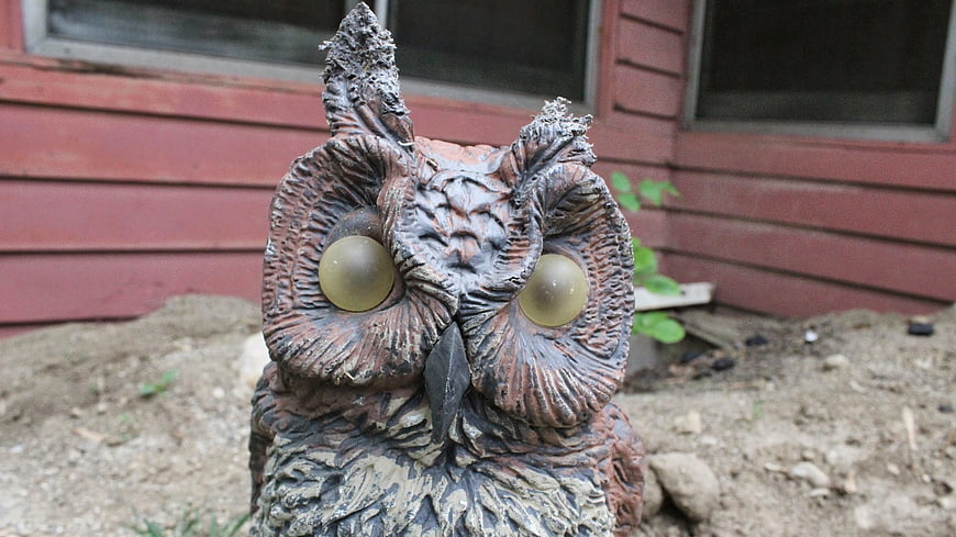 Weathered Garden Owl Statue with Large Yellow Eyes