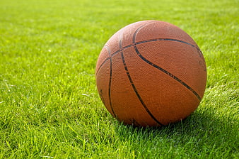 Basketball on Green Grass
