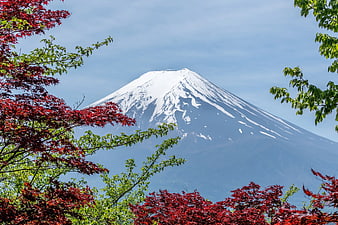 Mount Fuji with red maple leaves in autumn