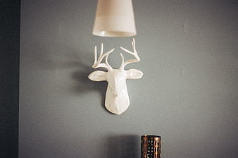 White deer head wall decor with lamp shade