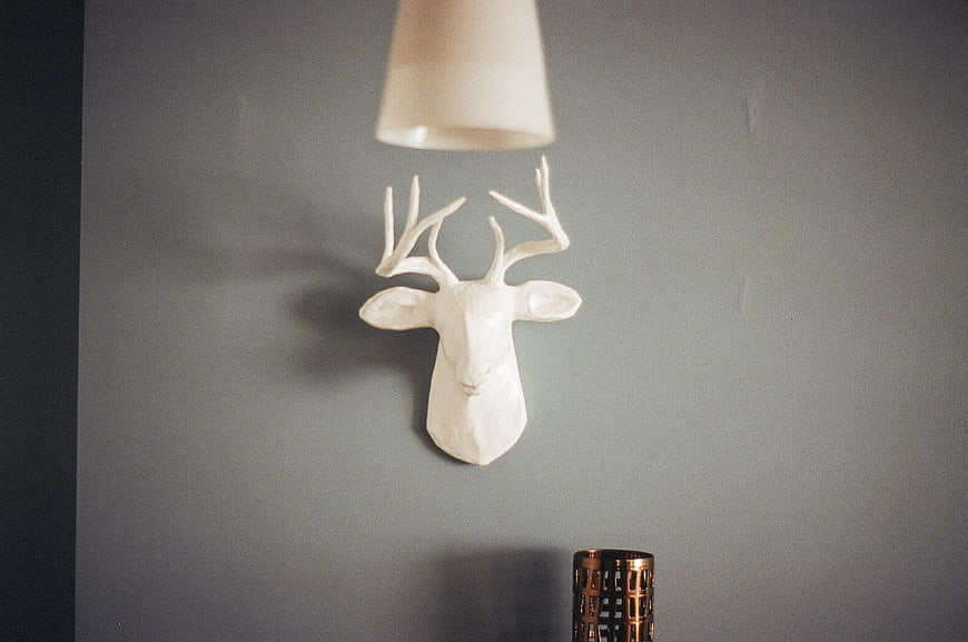 White deer head wall decor with lamp shade