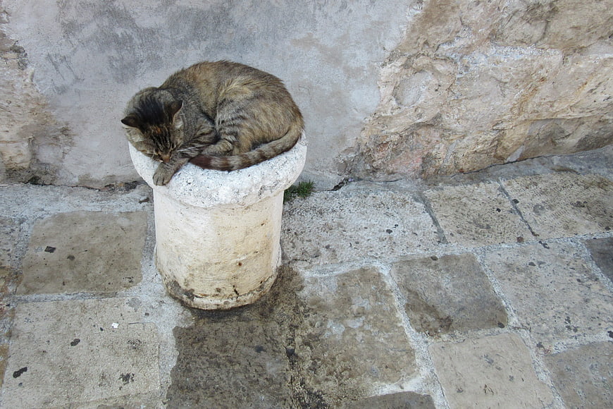 Sleeping Tabby Cat on Stone Bollard in Old Town