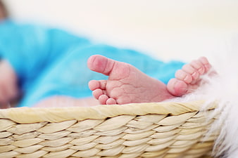 Close-up of a newborn baby's feet in a woven wicker basket