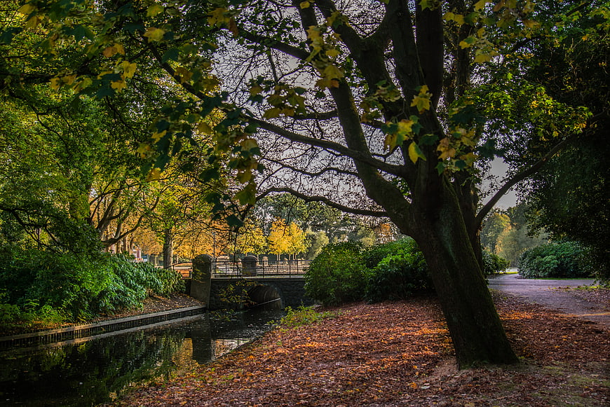 Autumn park scene with canal, bridge, and fallen leaves