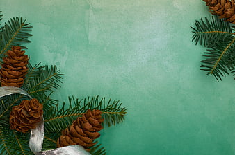 Christmas Pine Branches and Cones on Mint Green Background