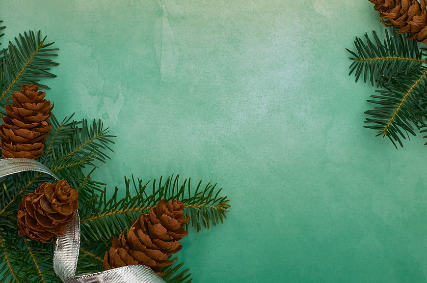 Christmas Pine Branches and Cones on Mint Green Background