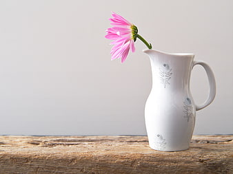 Pink Dahlia in White Ceramic Pitcher on Rustic Wood