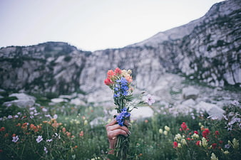 Hand Holding Wildflower Bouquet in Mountain Meadow