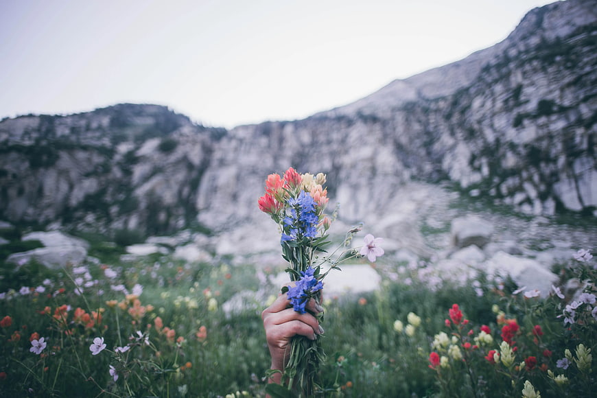 Hand Holding Wildflower Bouquet in Mountain Meadow