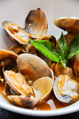 Close-up of steamed clams in savory sauce with basil