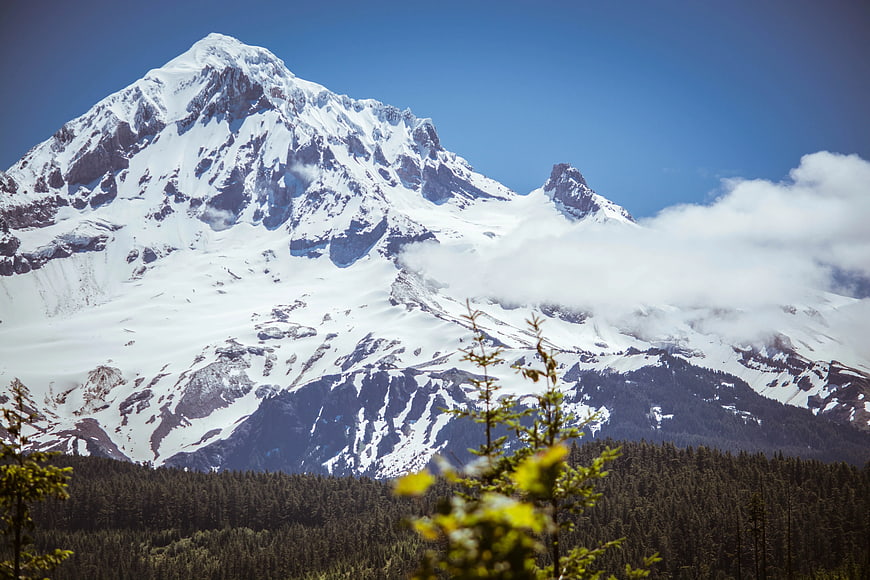 Majestic Snow-Capped Mountain Peak with Forest Foreground